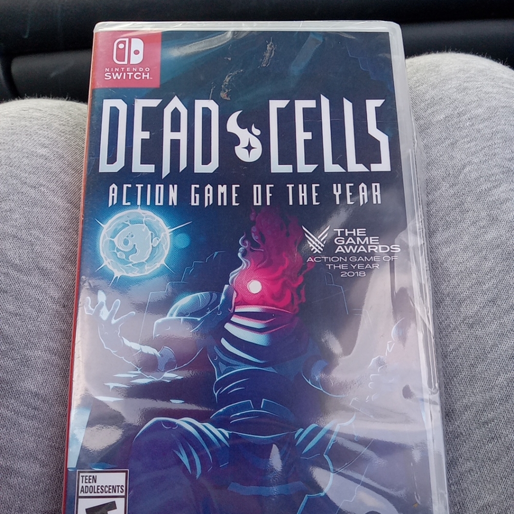 Dead Cells Game of The Year